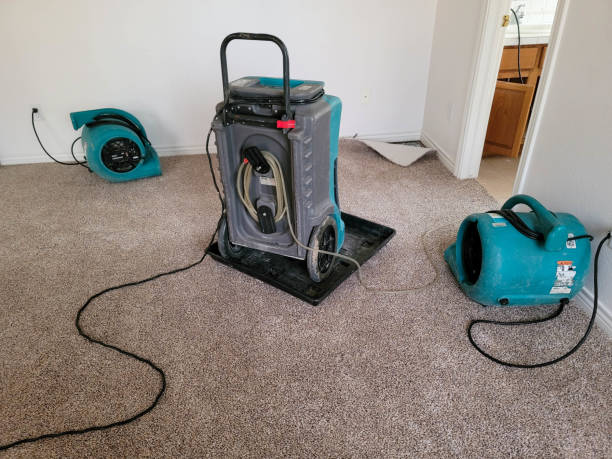 Trusted Enterprise, NV Water damage restoration Experts