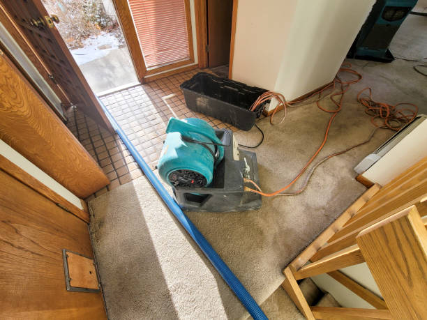 Best 24/7 water damage repair  in Enterprise, NV