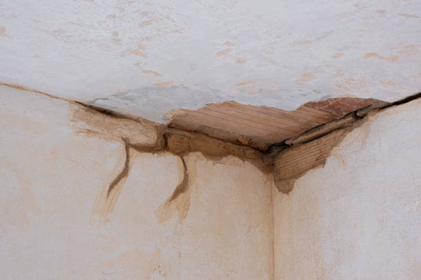 Best Local water damage restoration  in Enterprise, NV