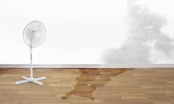 Best Water damage restoration near me  in Enterprise, NV
