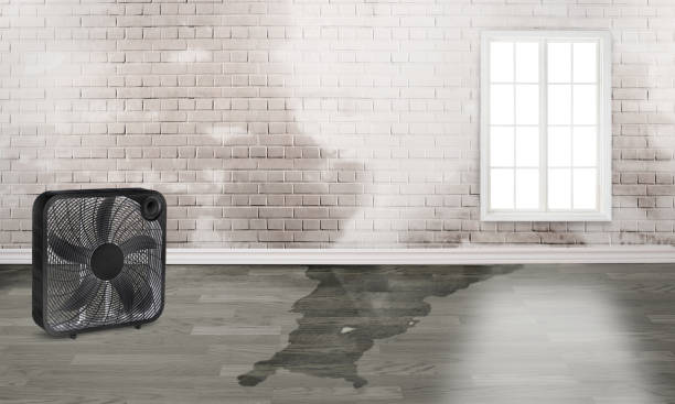 Trusted Enterprise, NV Water damage restoration Experts