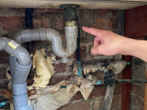 Best Water damage contractors near me  in Enterprise, NV