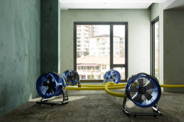 Best Commercial water damage restoration  in Enterprise, NV