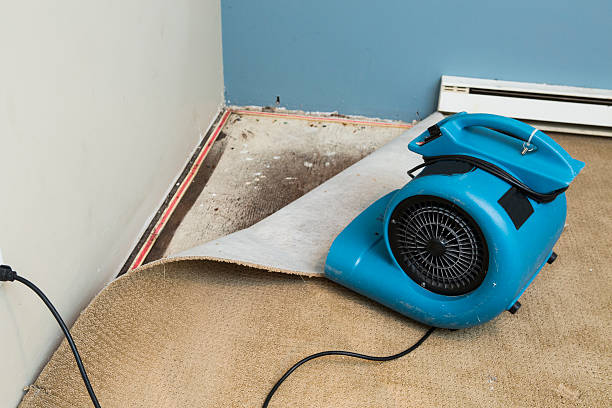 Best Residential water damage restoration  in Enterprise, NV